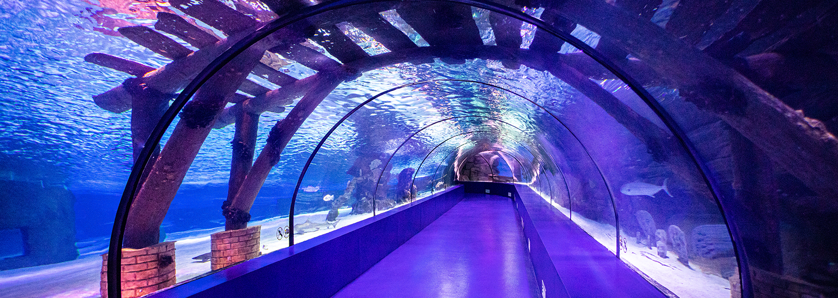 Antalya Aquarium