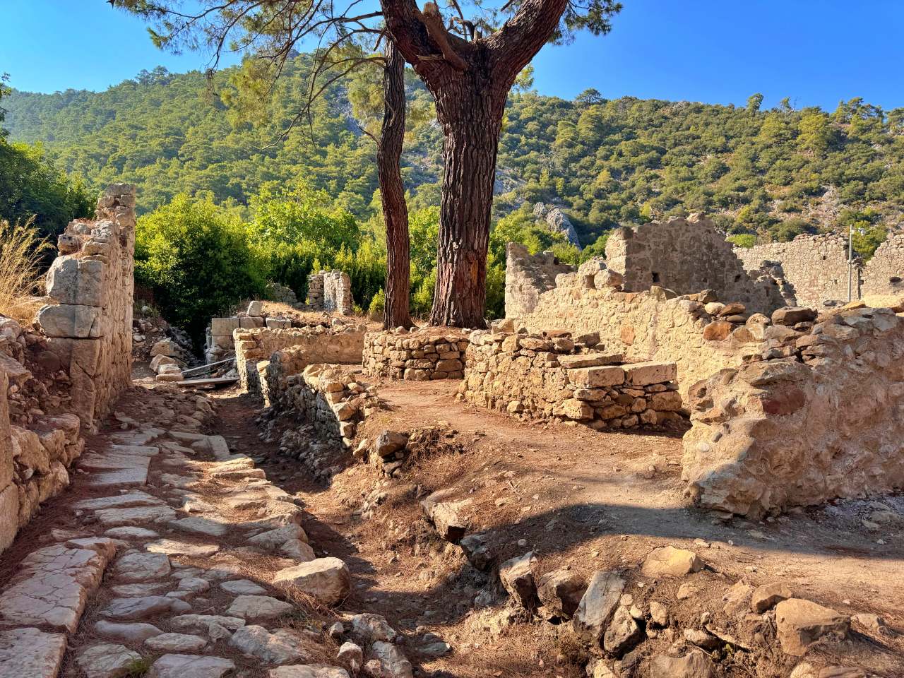 Olympos Travel Guide